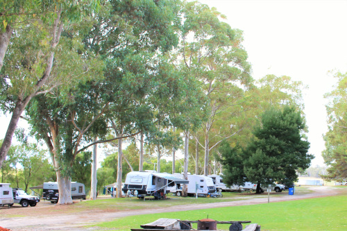 Large campsites and drive through camping bays